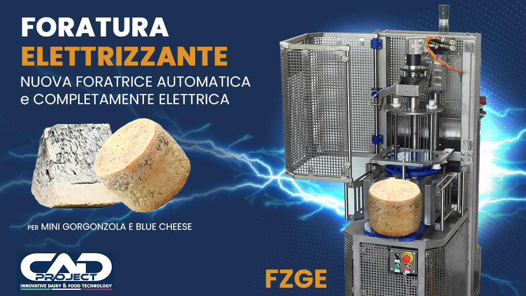 news FZGE