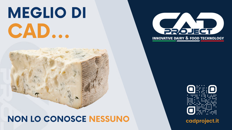 news gorgonzola